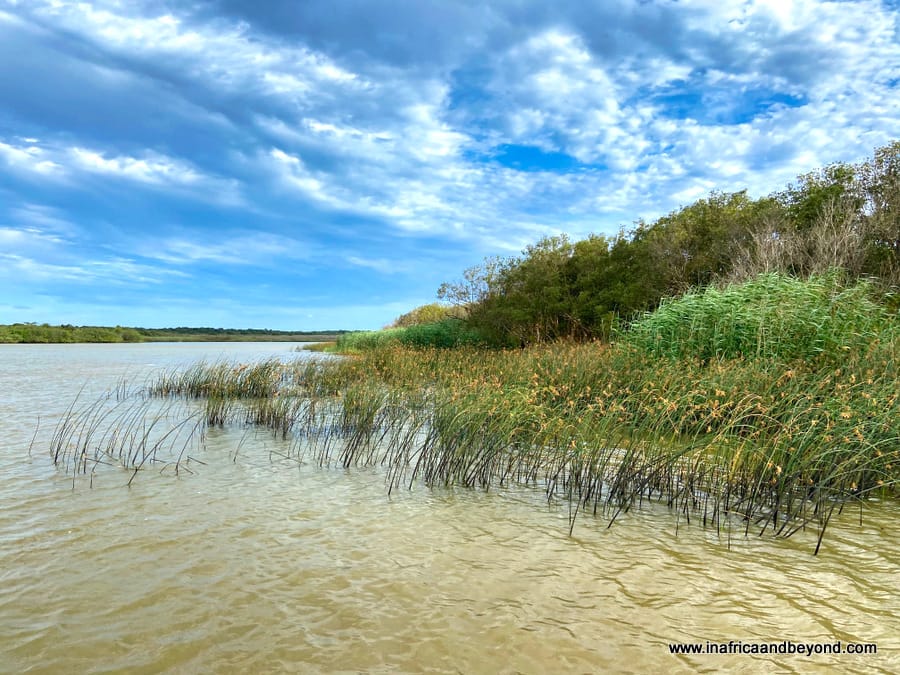 St Lucia South Africa