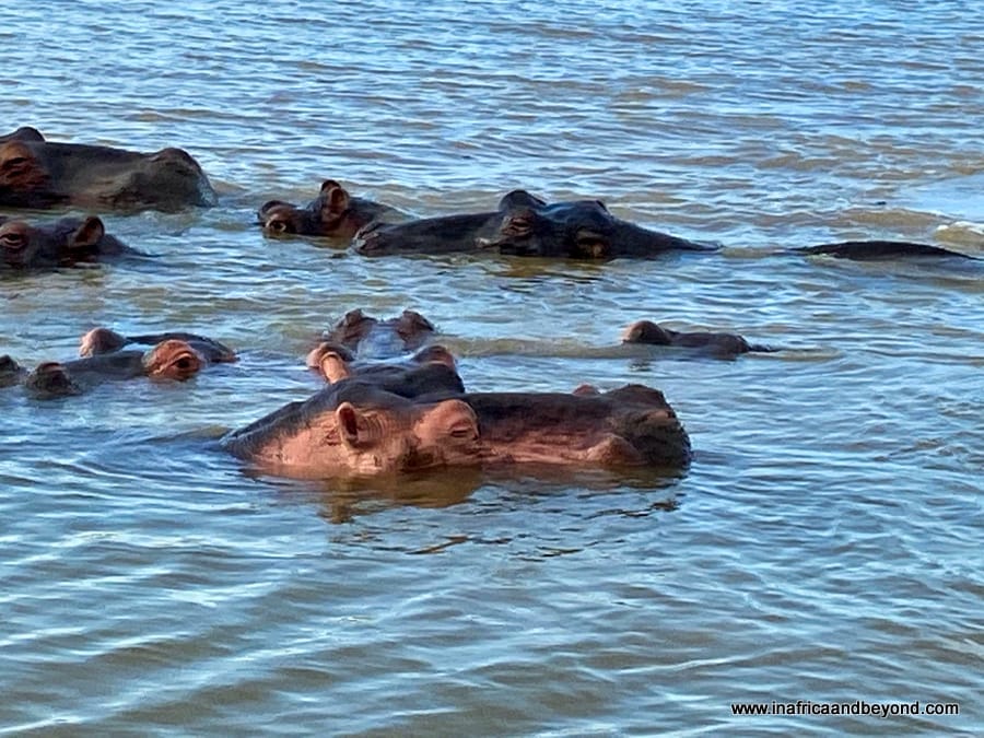 St Lucia South Africa