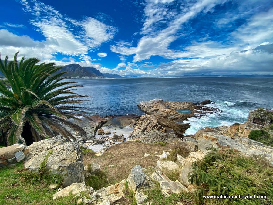 The best time to visit South Africa for whale watching in Hermanus