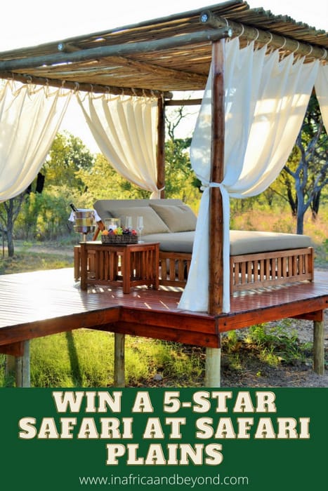 Win a 5-star safari for two at Safari Plains 3 Safari Plains Giveaway