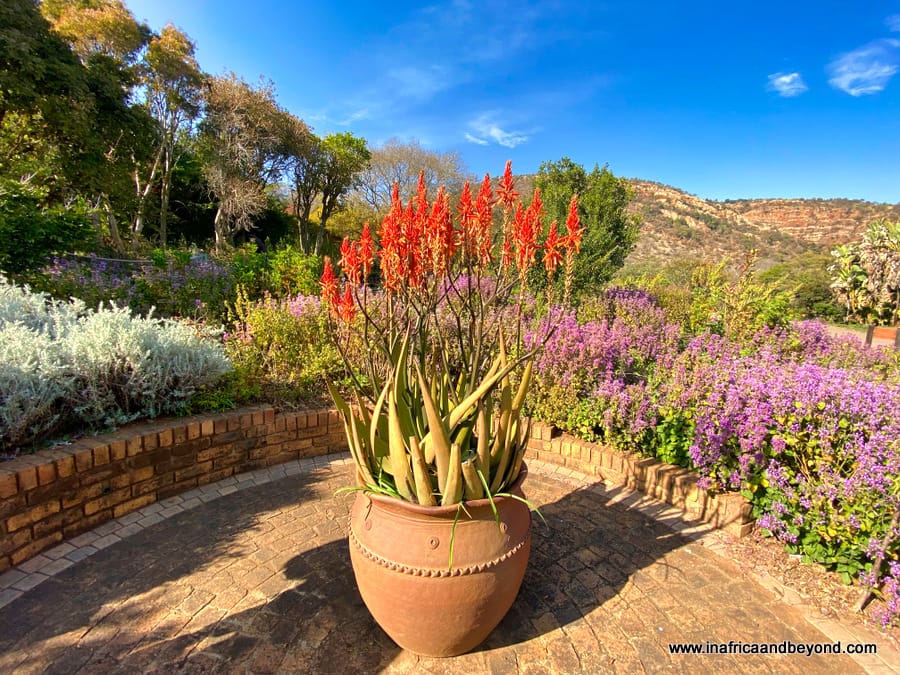 Exploring Johannesburg attractions with Joburg Tourism