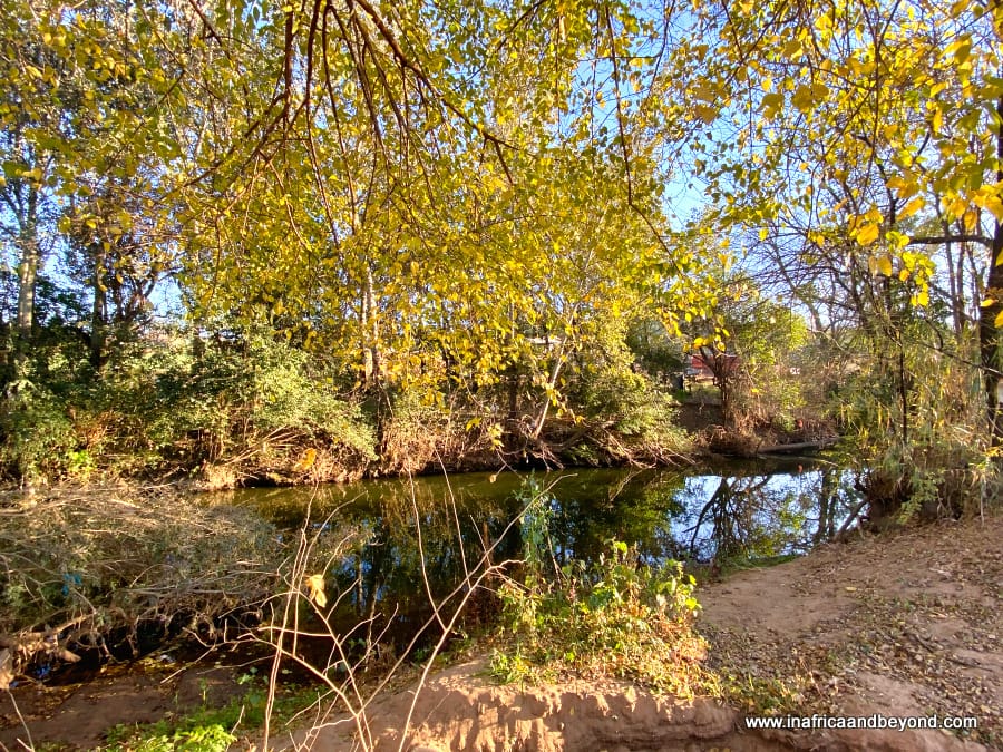 Bushman's Rock Country Lodge