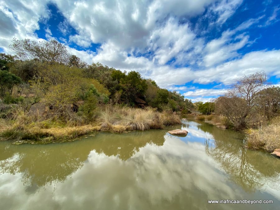 Adventure Zone Cullinan