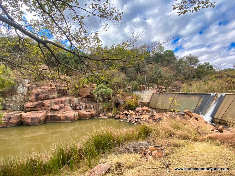 Adventure Zone Cullinan