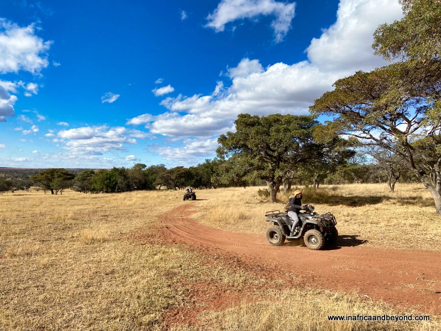 Adventure Zone Cullinan