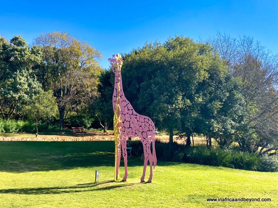 Exploring Johannesburg attractions