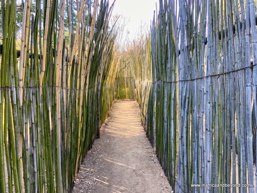 Exploring Johannesburg attractions