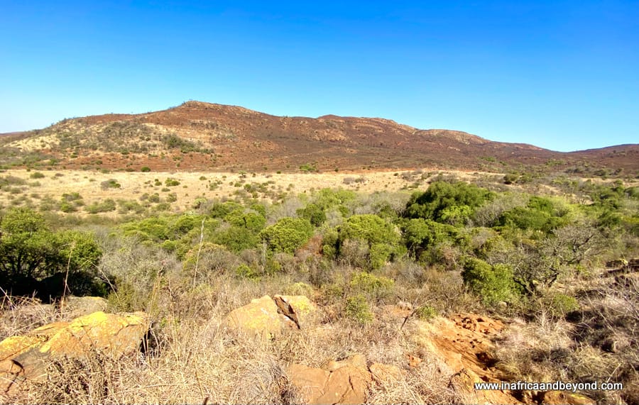 Suikerbosrand nature reserve