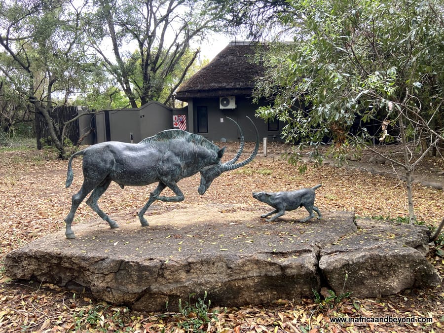 Jock Safari Lodge - Explorer-themed luxury safari 4 Jock Safari Lodge