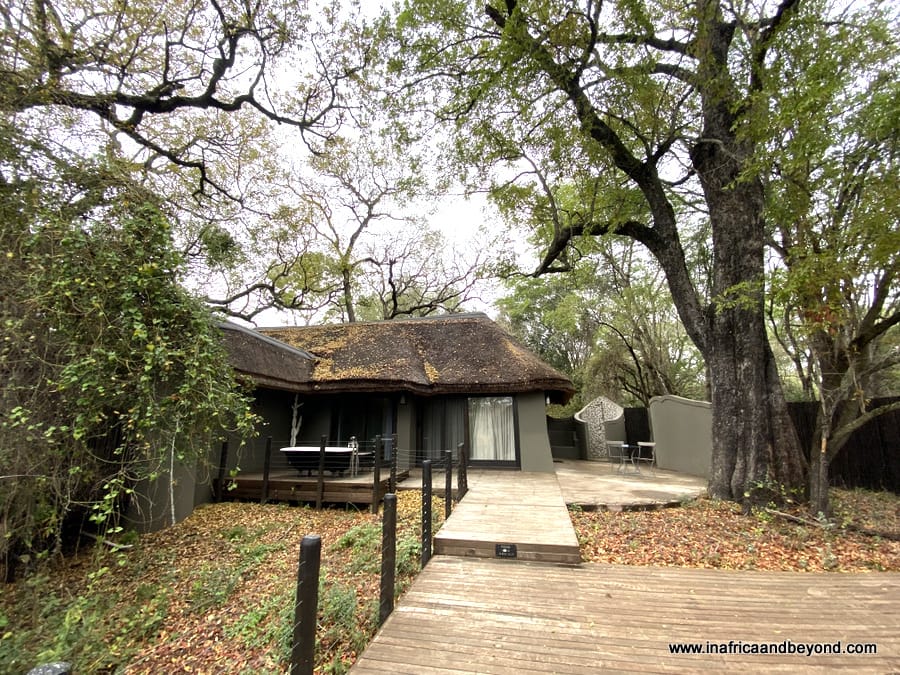 Jock Safari Lodge - Explorer-themed luxury safari 7 Jock Safari Lodge