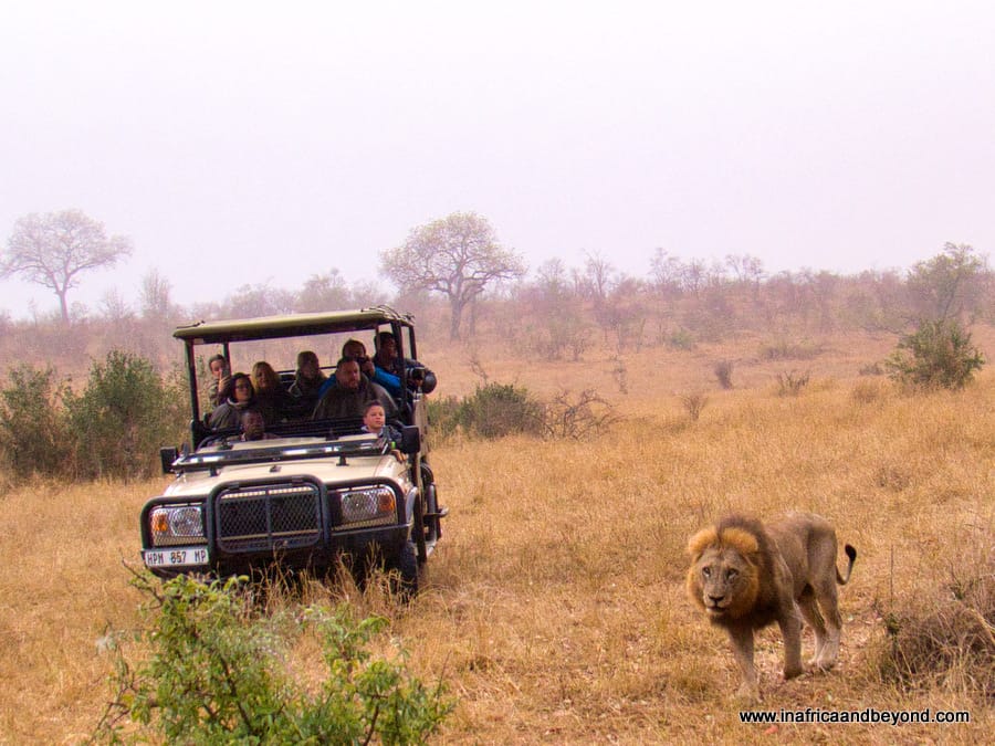 Hoyo Hoyo Safari Lodgeq