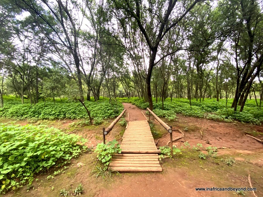Moreleta Kloof Nature Reserve