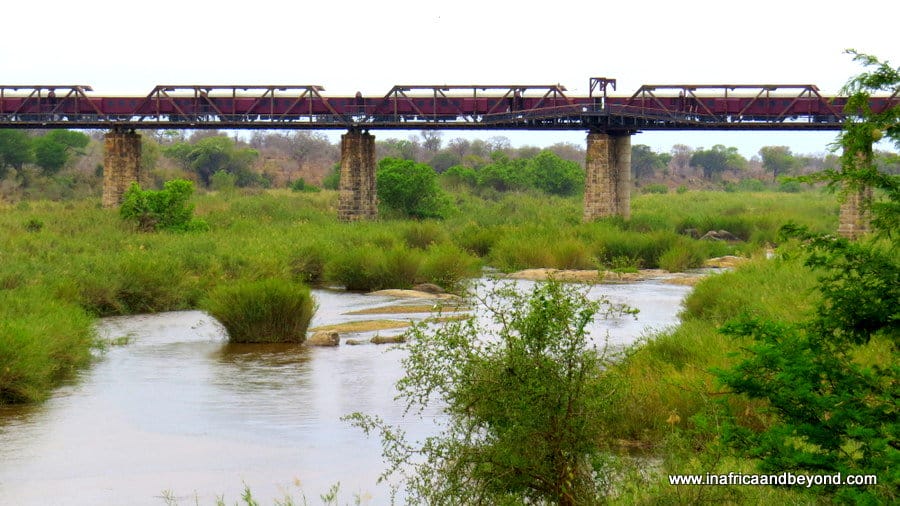 Kruger Shalati - The Train on the Bridge