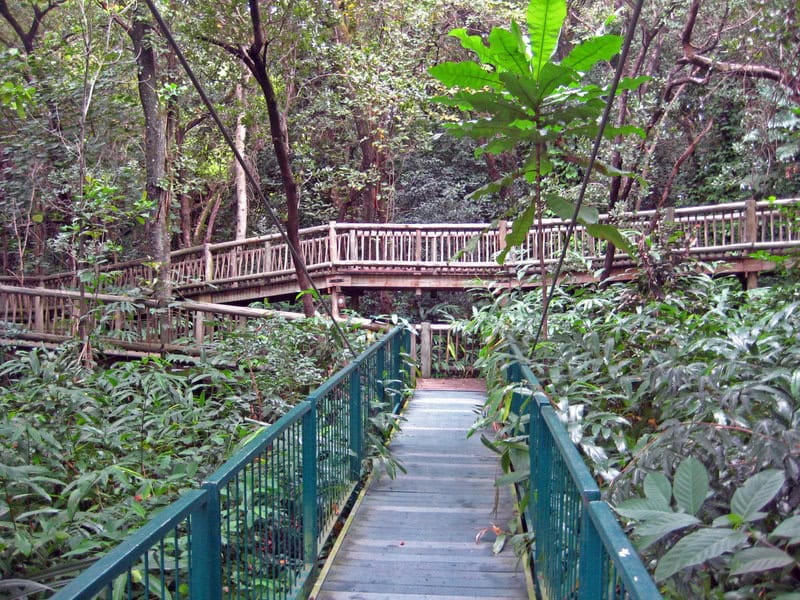 walkway in the Lowveld Botanical Garden