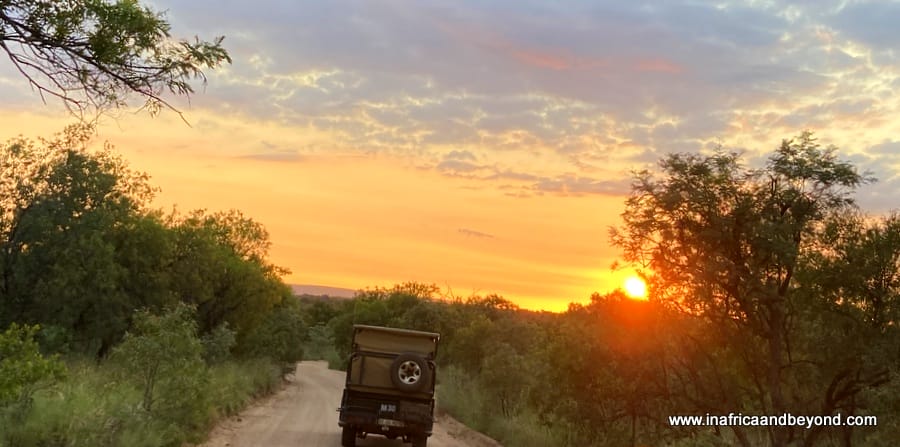 A delightful family safari at Mabula Game Lodge 6 Mabula Game Reserve