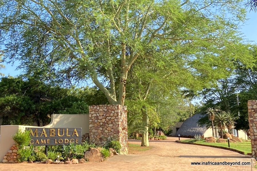A delightful family safari at Mabula Game Lodge 2 Mabula Game Lodge
