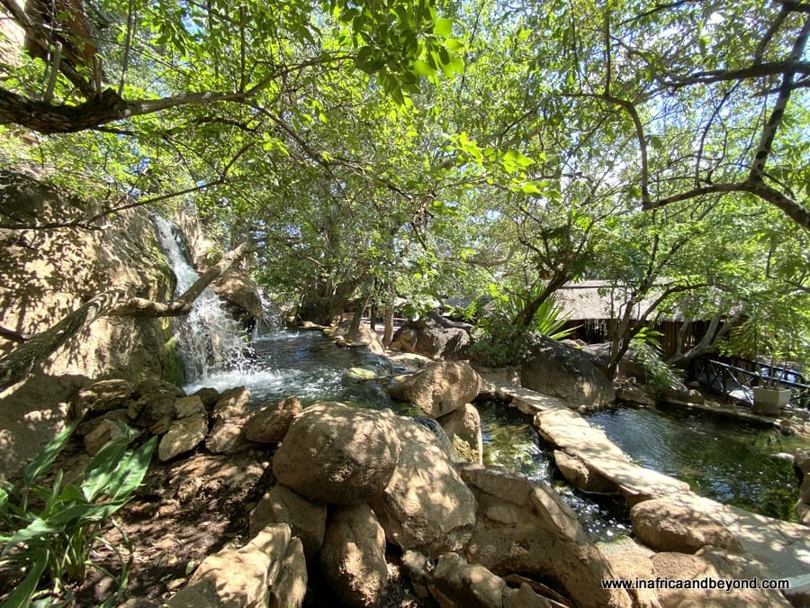 A delightful family safari at Mabula Game Lodge 10 Mabula Game Reserve