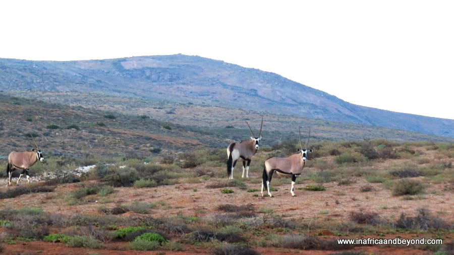 Namaqua National Park