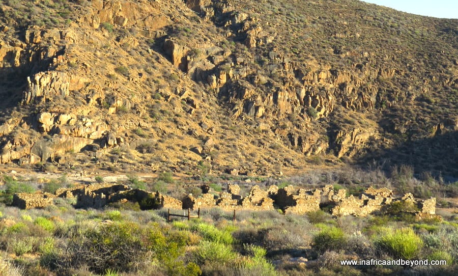 Namaqua National Park