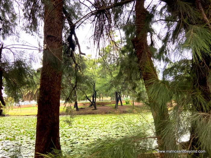 8 Unique Things to do in the Northern Cape … and some thoughts about the province 8 Eye of Kuruman