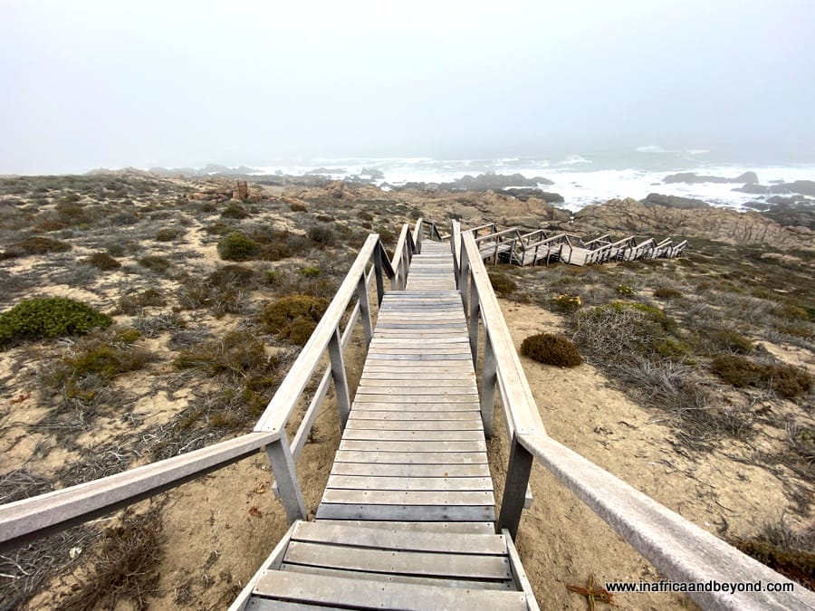 Groenrivier -Namakwa National Park