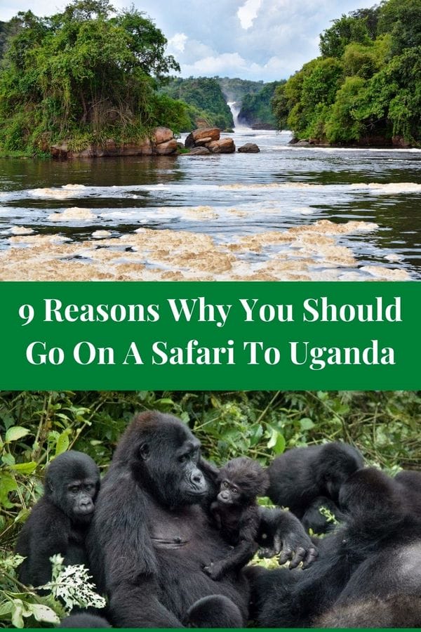 safari to uganda