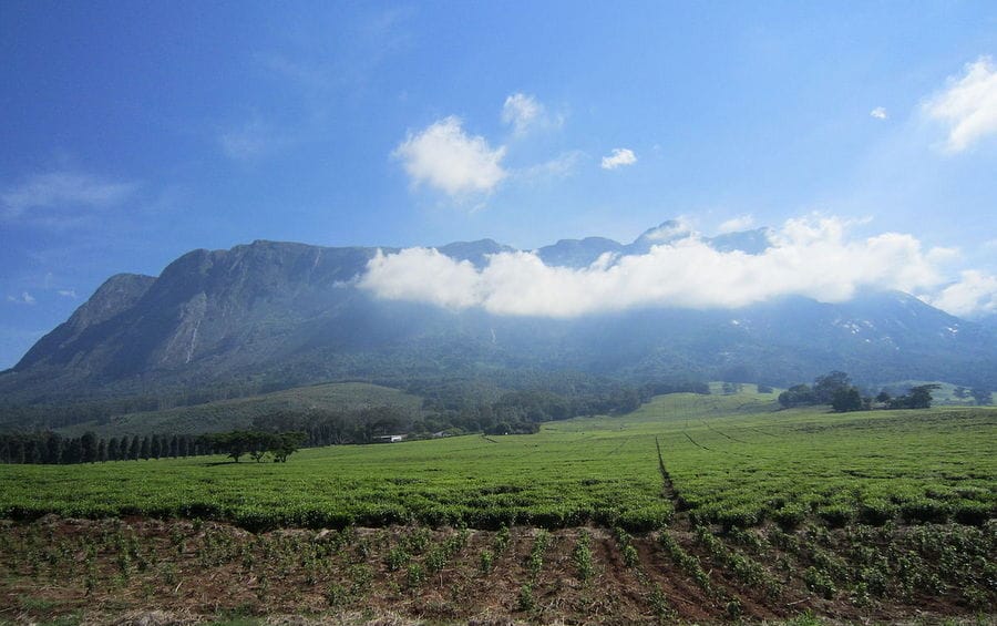 things to do in Malawi 