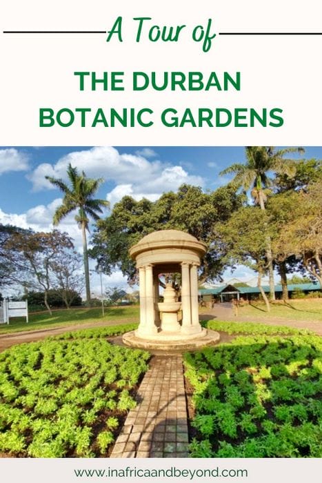 11 things to see at the Durban Botanic Gardens 16 Durban Botanic Gardens