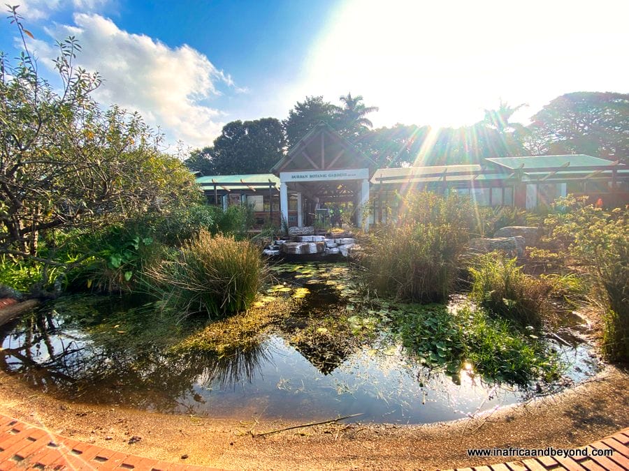 11 things to see at the Durban Botanic Gardens 1 Durban Botanic Gardens