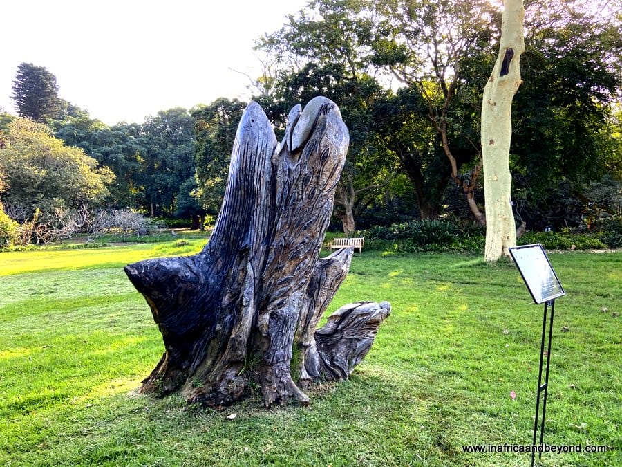 11 things to see at the Durban Botanic Gardens 12 Durban Botanic Gardens