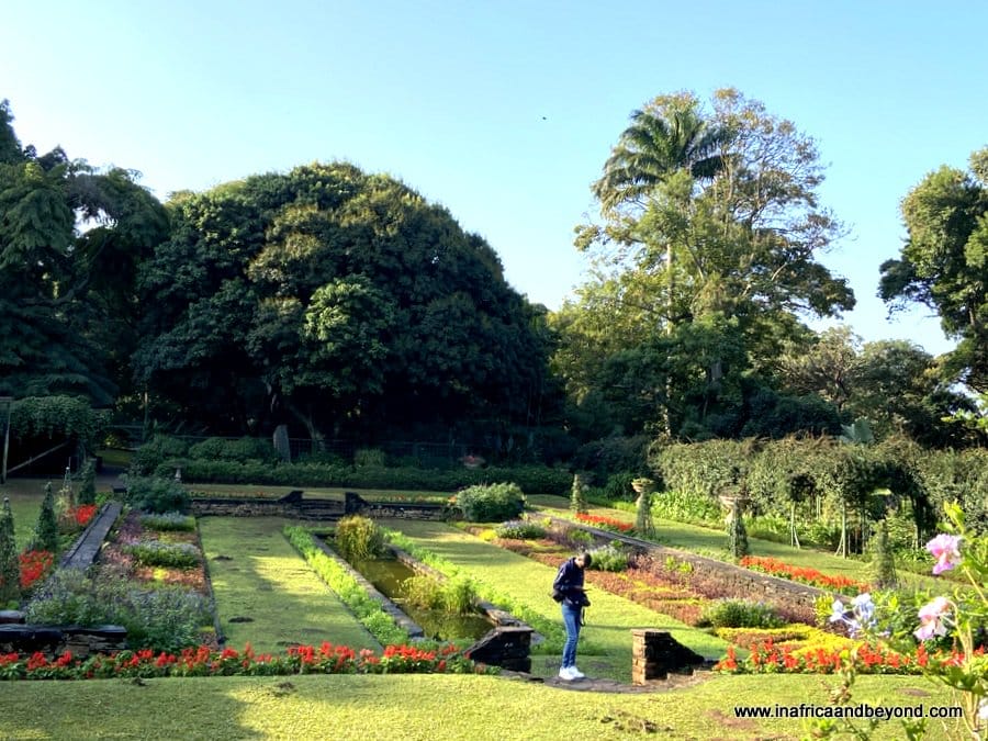 11 things to see at the Durban Botanic Gardens 8 Durban Botanic Gardens