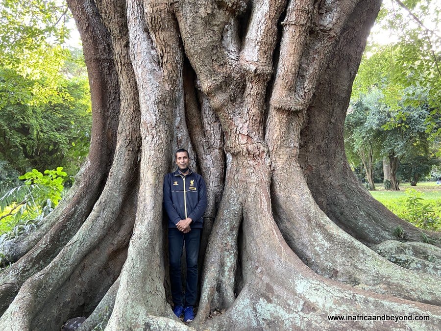 11 things to see at the Durban Botanic Gardens 3 Durban Botanic Gardens