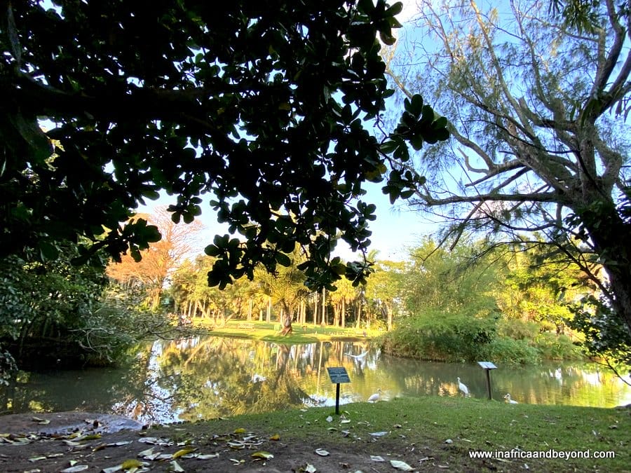 11 things to see at the Durban Botanic Gardens 11 Durban Botanic Gardens