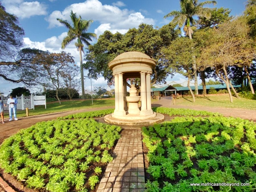 Durban Botanic Gardens in Durban