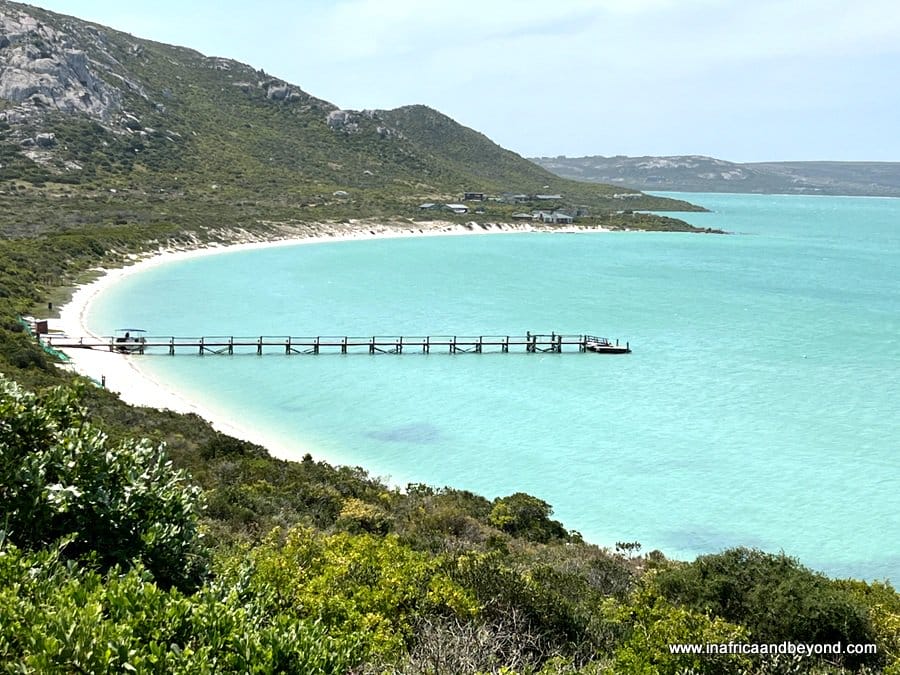 9 Cape West Coast Towns you should visit 4 clear blue Lagoon in West Coast National Park