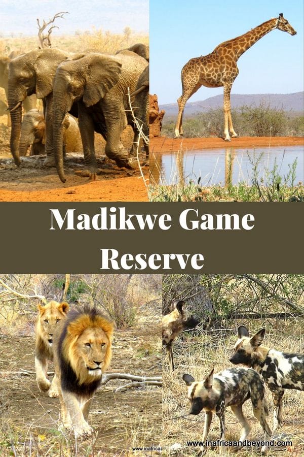 Madikwe Game Reserve
