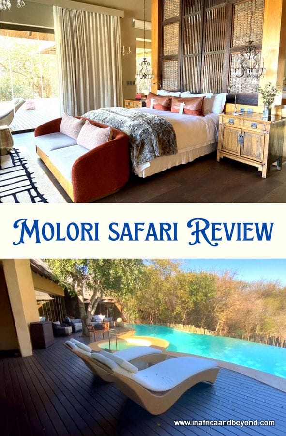 Molori Safari Lodge