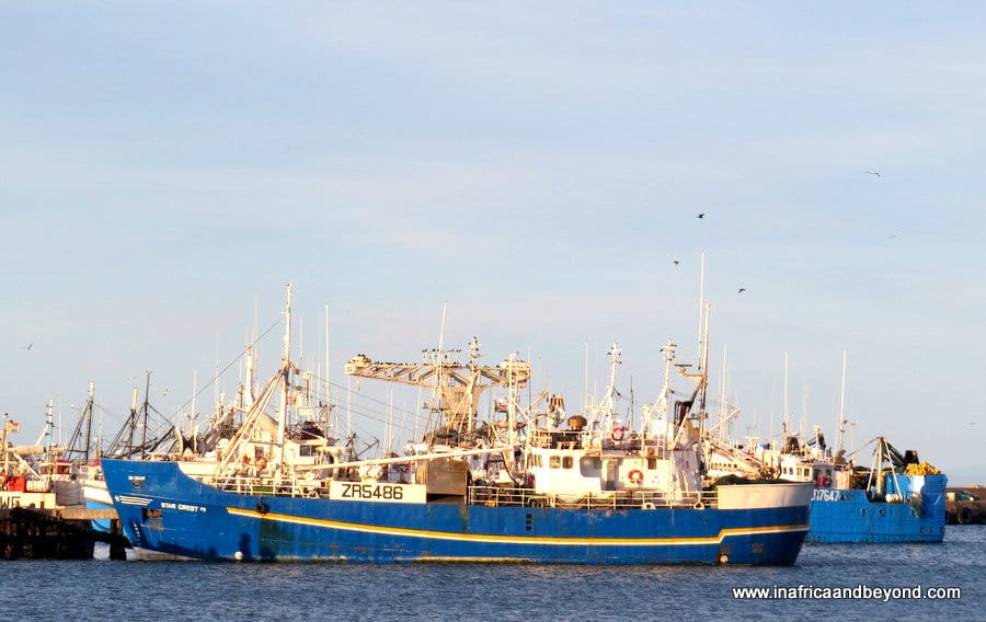 Fishing boats in St Helena Bay