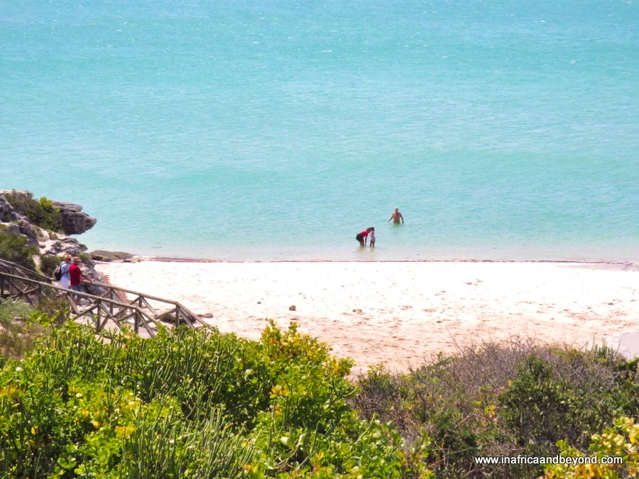 Kraalbaai West Coast National Park