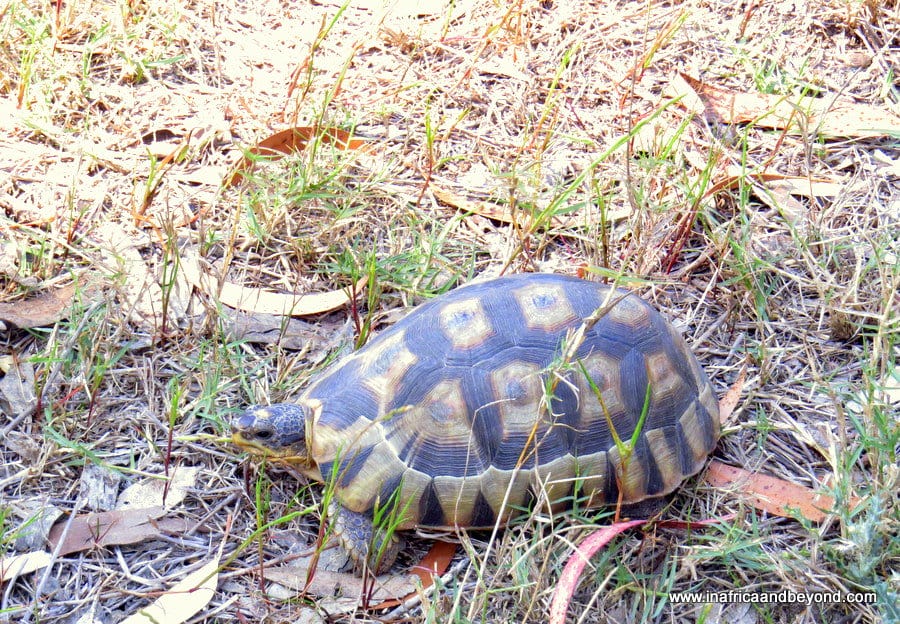 West Coast National Park