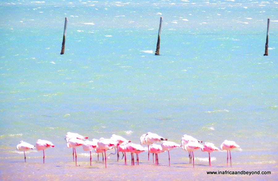 West Coast National Park