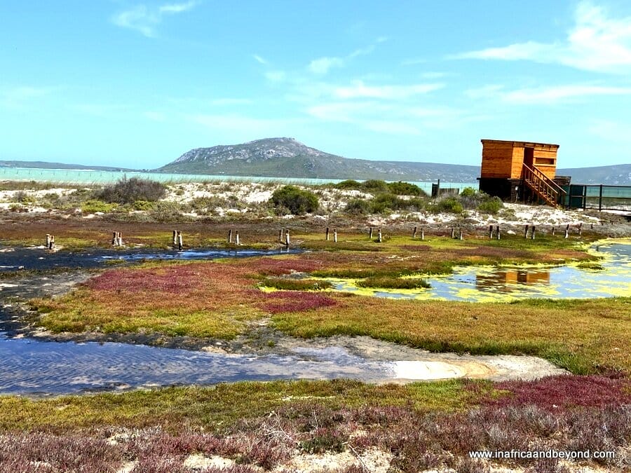 West Coast National Park