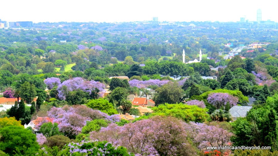11 places to visit with the City Sightseeing Johannesburg Bus 14 City Sightseeing Johannesburg Bus