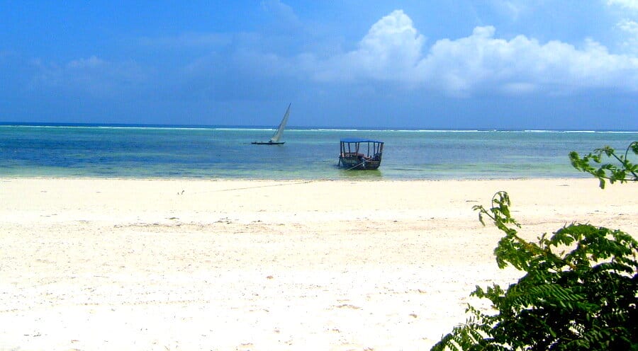 Best things to do in Zanzibar