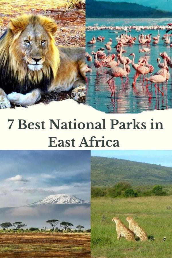 7 Best National Parks in East Africa 5 7 Best National Parks in East Africa