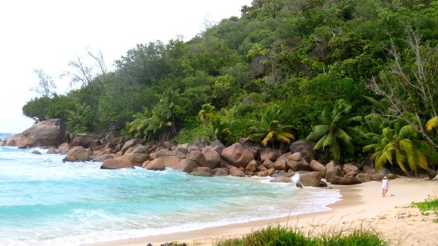 Constance Lemuria Review