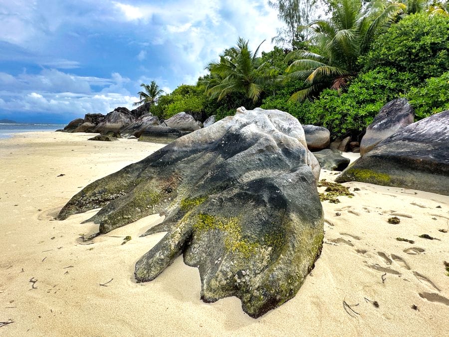 Constance Ephelia Review - A Family-friendly tropical island resort 2 Constance Ephelia South Beach