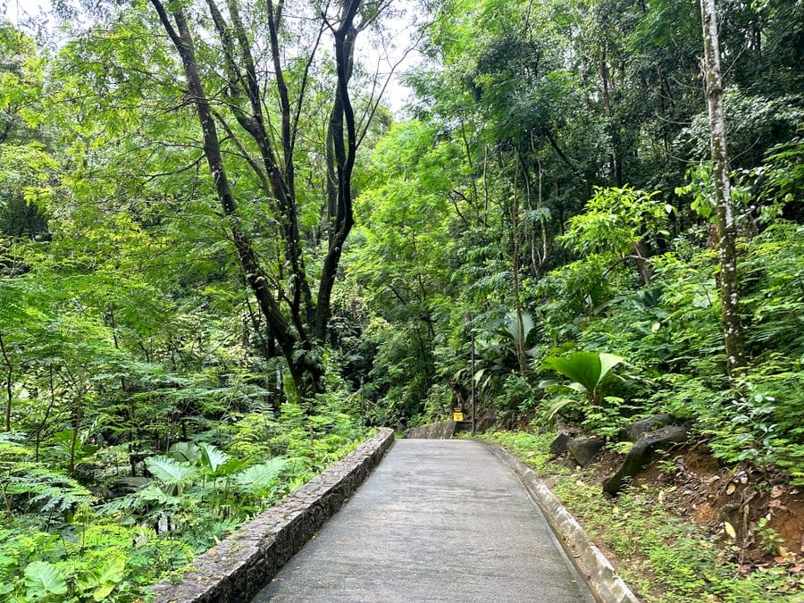 Constance Ephelia Review - A Family-friendly tropical island resort 6 Constance Ephelia Review