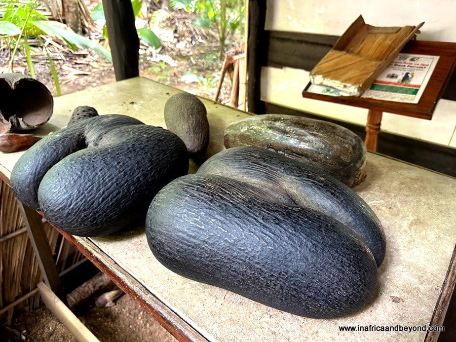 Best things to do in Praslin