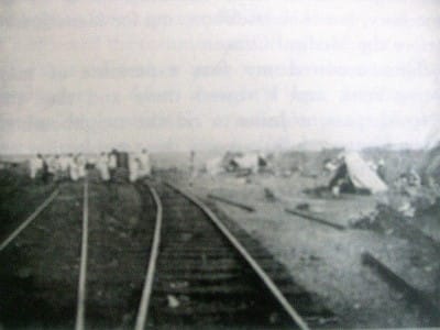 Tsavo's Massive Male Lions Might've Lost Their Manes to Hunt 1 Tsavo's Massive Male Lions